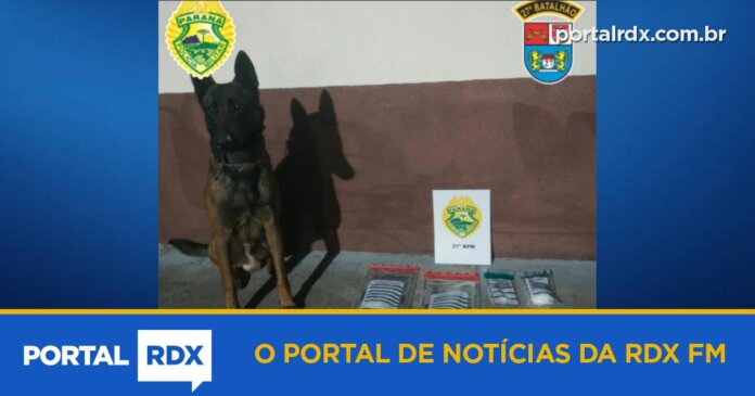 Polícia prende traficante e apreende drogas no bairro Limeira em União da Vitória